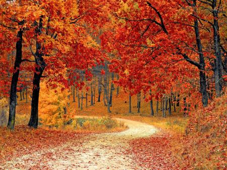 Herbst